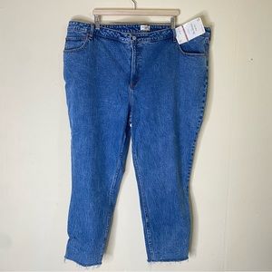 Abercrombie The Skinny High Rise Jeans Plus Size 24R 37 NEW